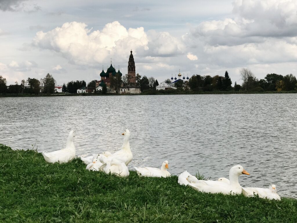 Vologda | Блог in-my-shoes.ru